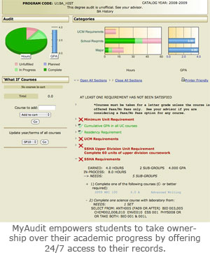 MyAudit Helps Students See the Big Picture