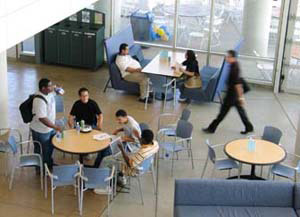 Helpful Advice Offered for New UC Merced Applicants