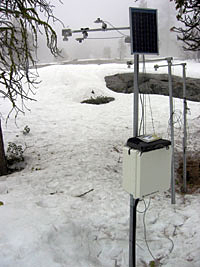 wireless sensor in the snowpack