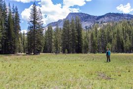 A woman in a green cardigan and khaki colored hat stands on the right side of a an open grassy expanse. Tall pine trees, mountain tops, and a cloudy blue sky dominate the background.