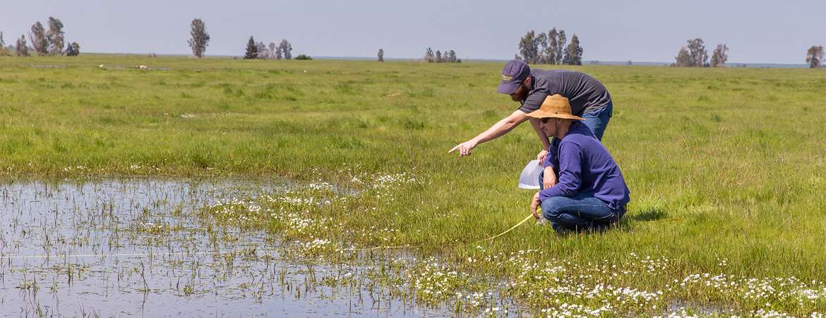 Vernal Pools: Natural History and Conservation Vernal Pools: Natural History and Conservation