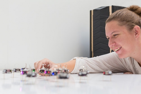 Student Katherine Copenhagen shows the kilobots she works with in Professor Gopinathan's lab. Studying flocking behavior could enable her and other researchers to program robots to behave like animals that flock or swarm.