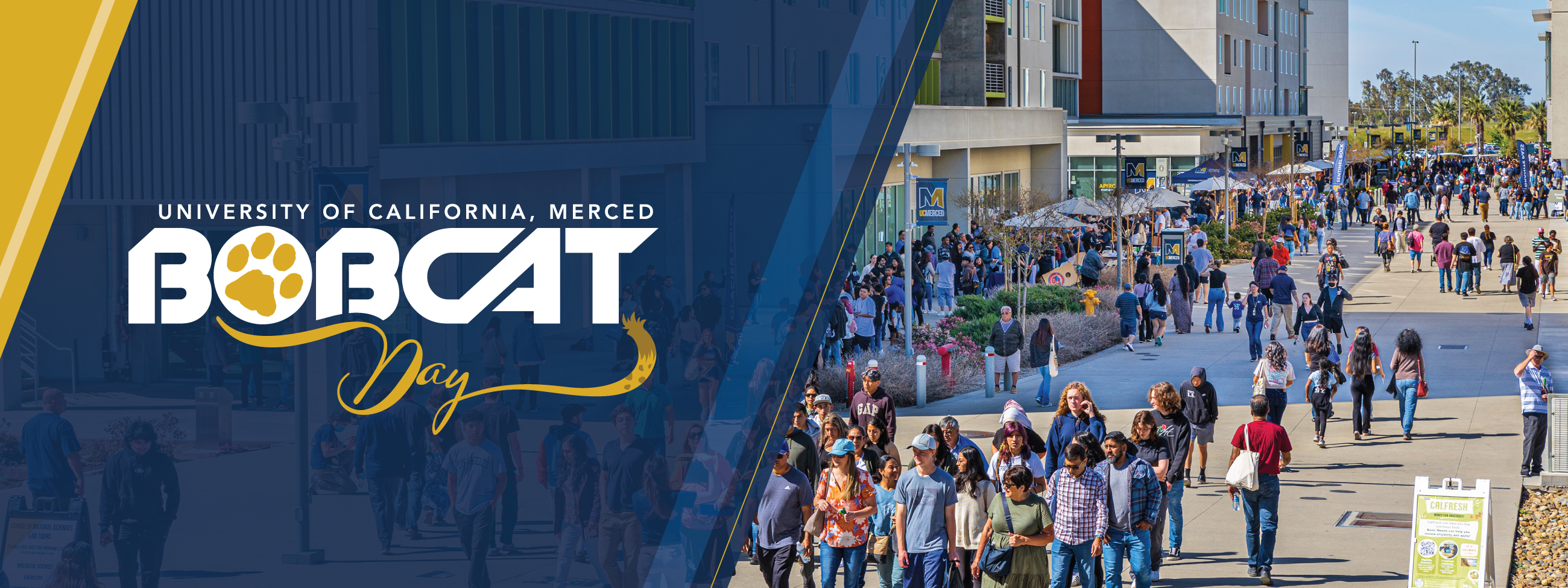uc merced bobcat day celebration on campus with students, staff, and facultyn