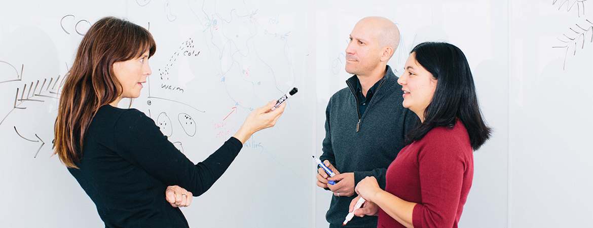 Professor Carolin Frank, left, confers with professors Jason Sexton, left rear, and Clarissa Nobile. Frank and Nobile both examine microbial communities, and Sexton studies plant evolution and adaptation.