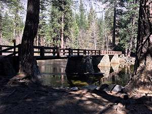 Yosemite National Park - Lower River Amphitheater