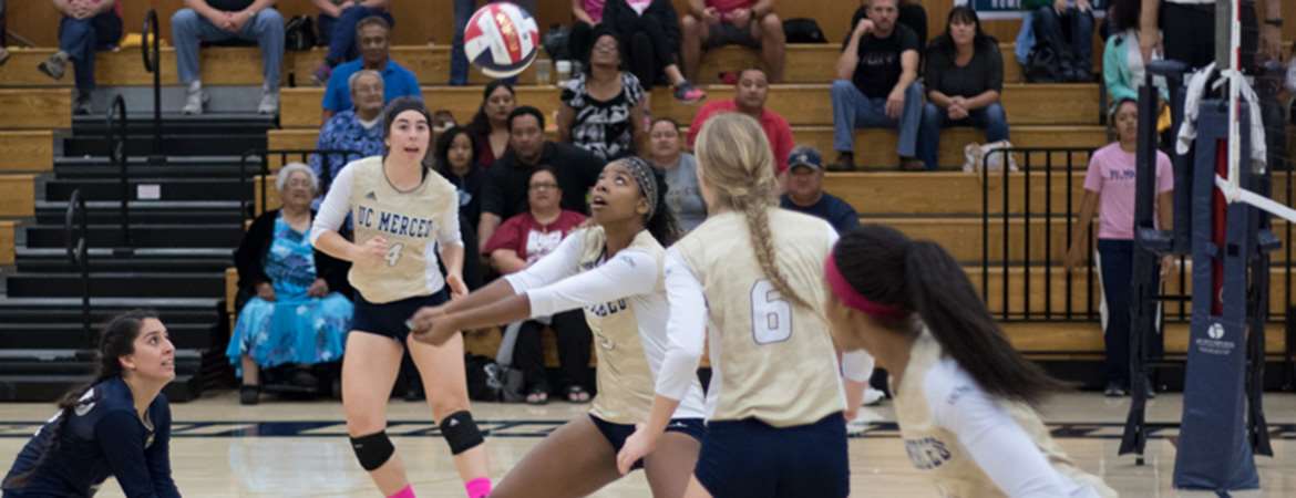 Women's Volleyball Team 