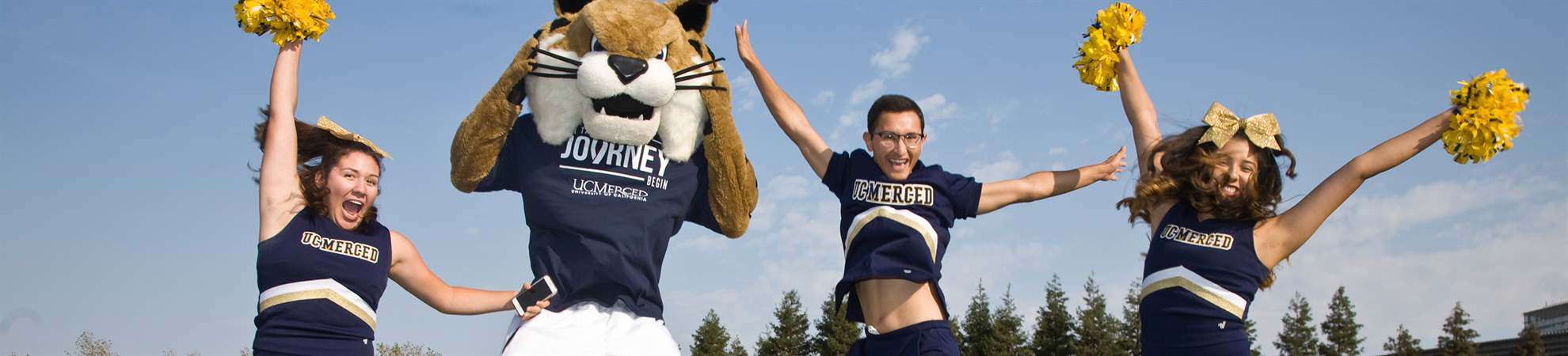 UCMerced Bobcat Header