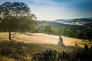 Exchequer Bike Park; photo by Jason Liske