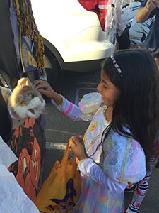 Kids could visit more than 25 decorated trunks.