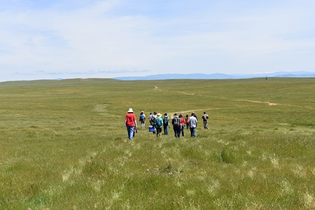 Citizen scientists head to vernal pool sites.