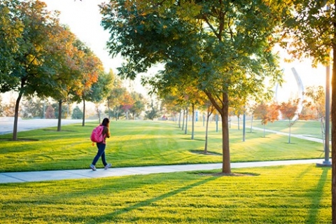 A new water-saving hydrogel will help campus lawns stay green this summer.