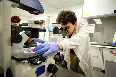 Students in Professor McCloskey's lab engineer and study tiny 'bio-bots' that could have huge medical implications.