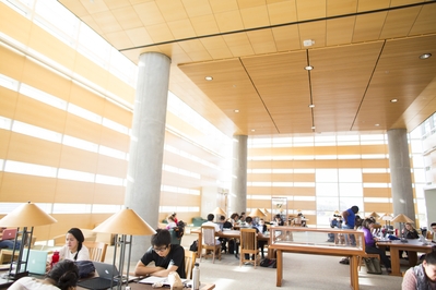 Students studying in library