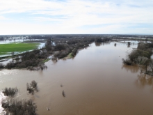 Flood conditions along the Cosumnes River allow researchers to study groundwater recharge.