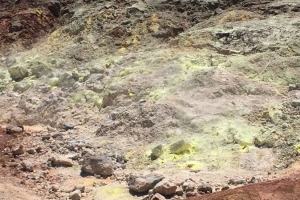 A picture of a soil chronosequence in Hawaii shows yellow sulfur-rich soil that has built up over millions of years.