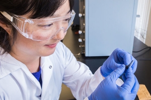Professor Sora Kim examines a fossilized shark's tooth.